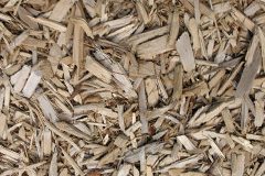 biomass boilers Revidge